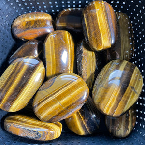 Tiger Eye Mini Palms